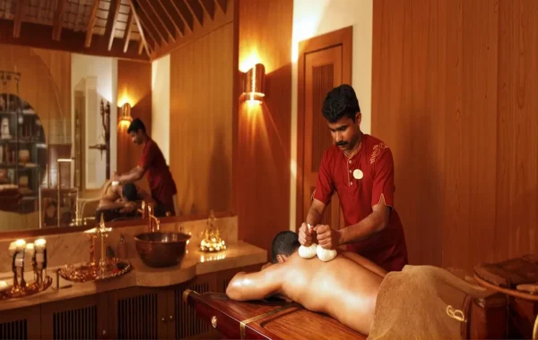 Ayurveda and Integrative Wellness in India: A Safe Planning Guide for Patients with Chronic Conditions